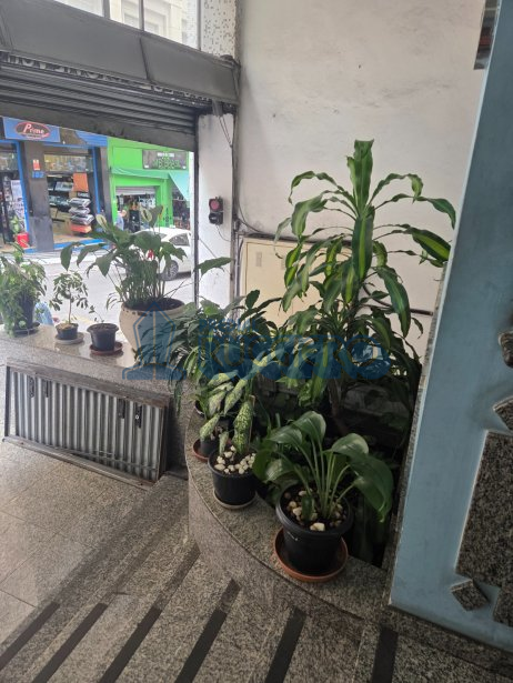 Sala comercial ampla, com linda vista, ensolarada.