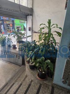 Sala comercial ampla, com linda vista, ensolarada. Sala comercial ampla, com linda vista, ensolarada.